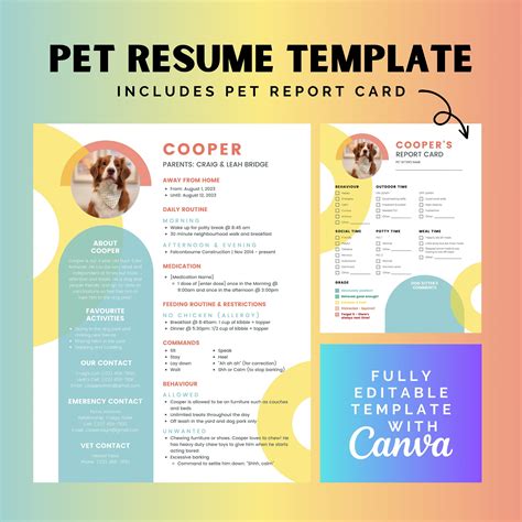 Pet Resume Template Word